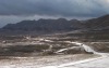 Carnival in the Desert