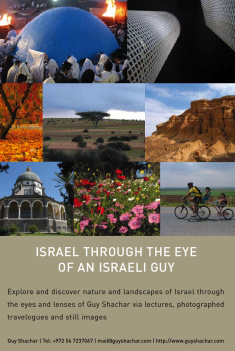 Guy page on EFI Gala Booklet