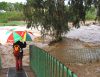 Yarkon Stream